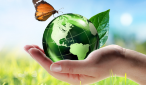 Eco-Friendly Retreats: Green Lodging Transforming Global Travel