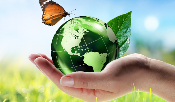 Eco-Friendly Retreats: Green Lodging Transforming Global Travel