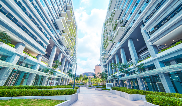 Green Vacations: Discovering the Future of Sustainable Travel Experiences