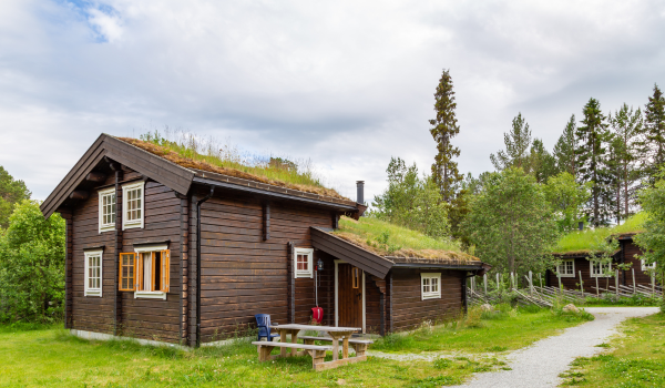 Conscious Travel: Eco-Lodges Setting New Standards for Tourism