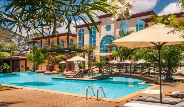 Eco-Luxury Escapes Blending Comfort with Sustainability in Travel